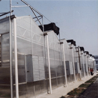 阳光板文洛式温室
